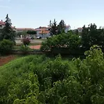 Casablanca *